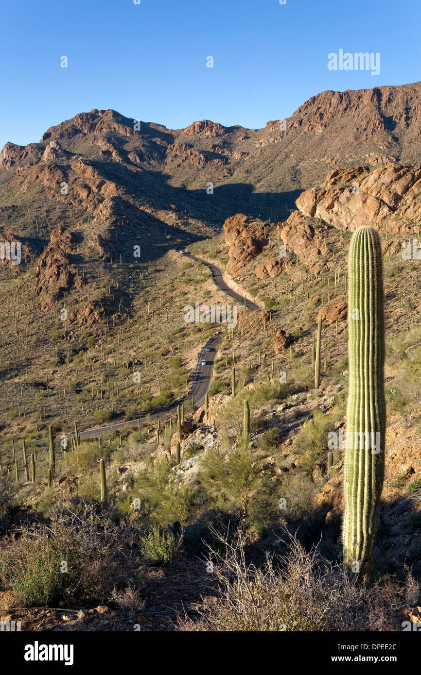 Pass Portes coupe à travers les montagnes de Tucson, Saguaro National Park, à l'Ouest, Tucson, Arizona Banque D'Images