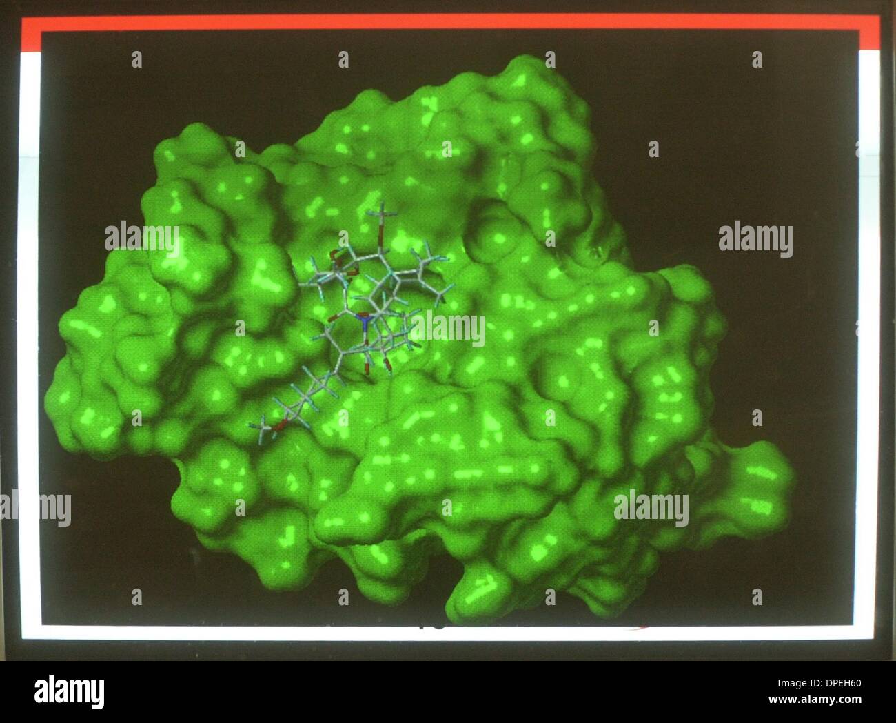 (Publié le 9/17/2004, p. C-1 ; UT1832609) Cette image de synthèse est d'une molécule pharmaceutique ancrée dans la protéine recepter d'un médicament qui est utilisé pour retarder la dégradation pour les organes transplantés récoltés. Tu/DON KOHLBAUER Banque D'Images