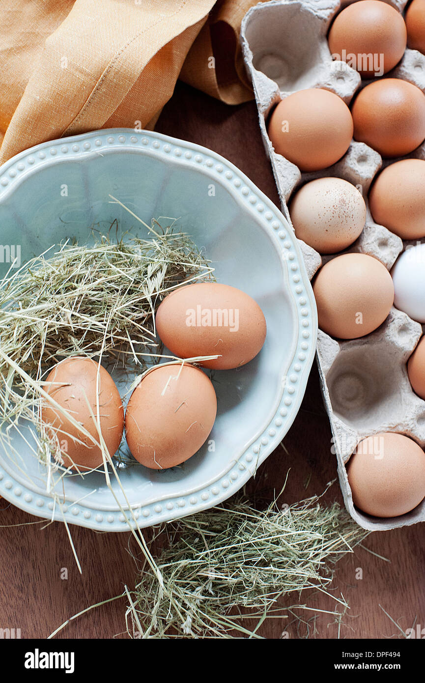 Des œufs frais et de la paille Banque D'Images