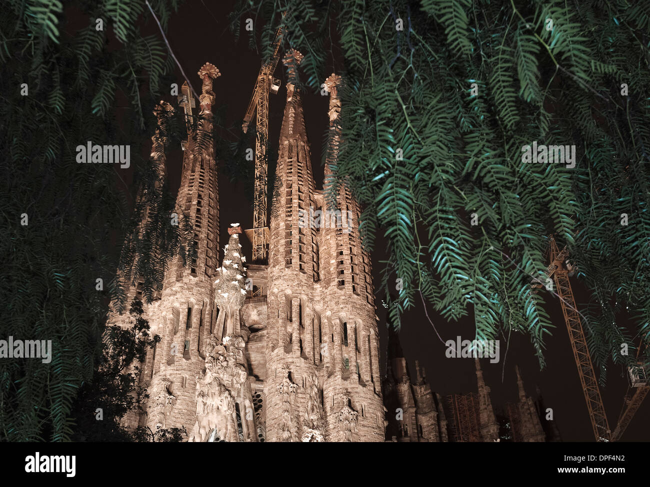 La Sagrada Familia de nuit, Barcelone, Espagne Banque D'Images