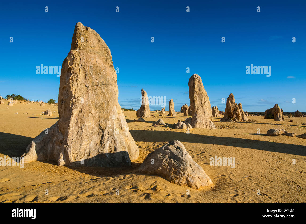 Les formations calcaires Pinacles au coucher du soleil dans le Parc National de Nambung, Australie occidentale, Australie, Pacifique Banque D'Images