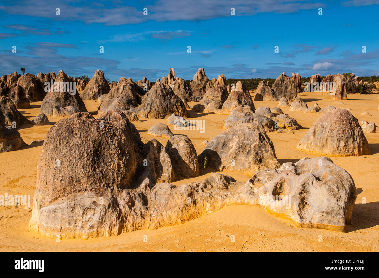 Les formations calcaires Pinacles au coucher du soleil dans le Parc National de Nambung, Australie occidentale, Australie, Pacifique Banque D'Images