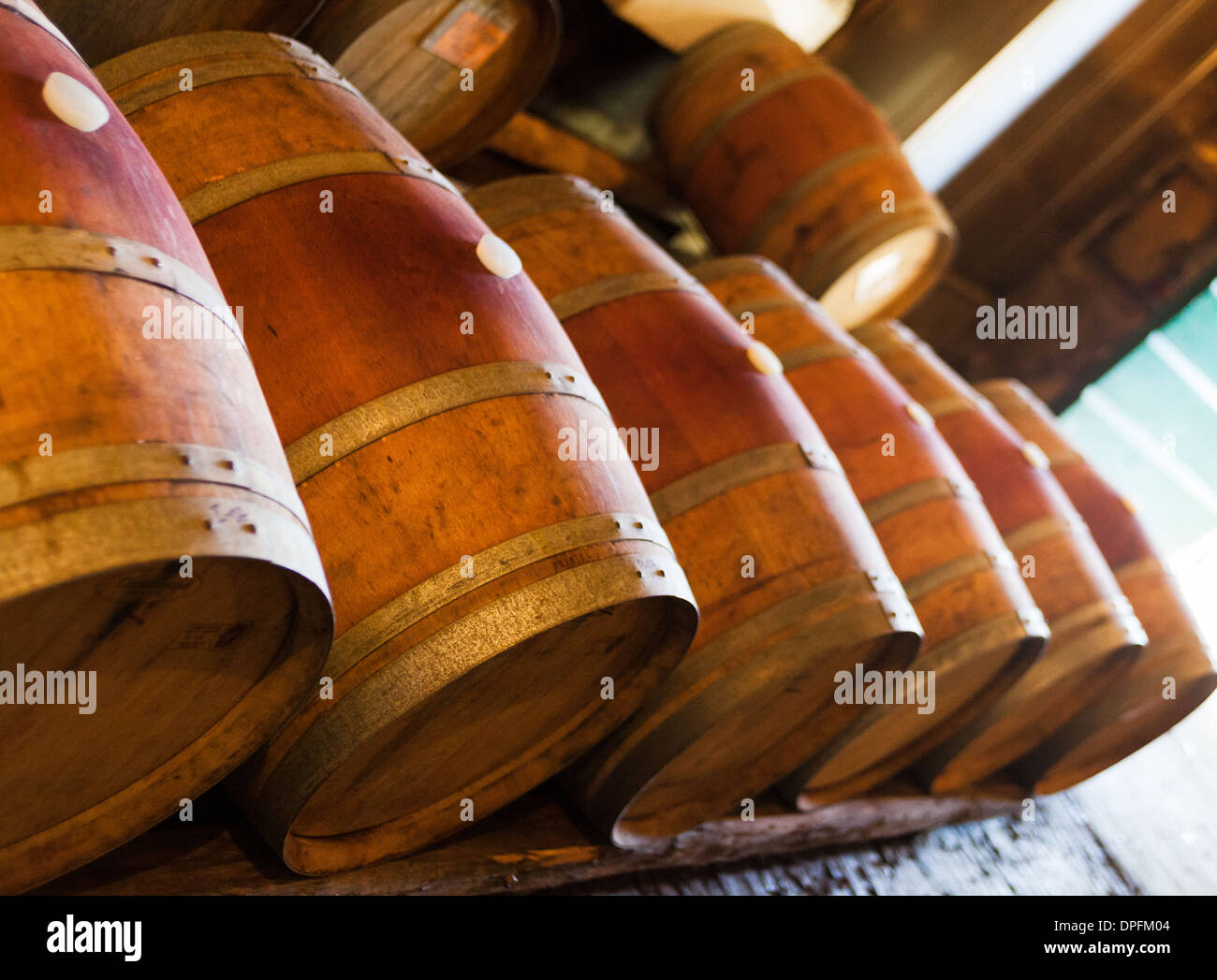Stockage de vin de barils stockés caves vignobles près de Lucques Toscane Italie Banque D'Images