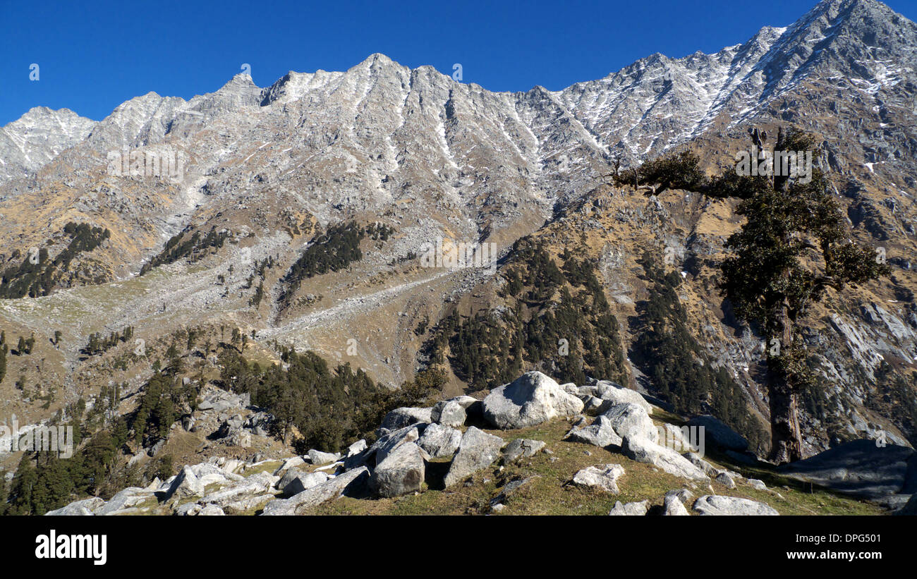 Indrahar pass, montagnes Dhauladhar, au-dessus de Mcleodganj, Dharamasala, Himachal Pradesh, Inde du Nord. Banque D'Images