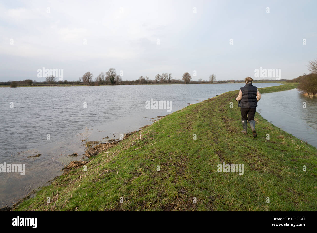 Une femme marche le long d'un talus élevé à côté de champs inondés dans le Cambridgeshire UK Banque D'Images