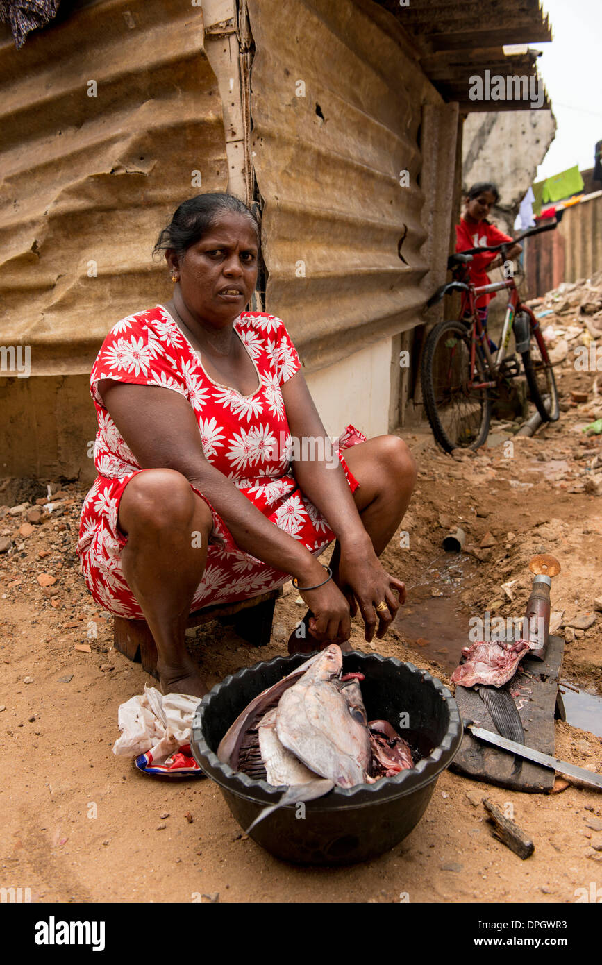 Peuple de Sri Lanka Banque D'Images