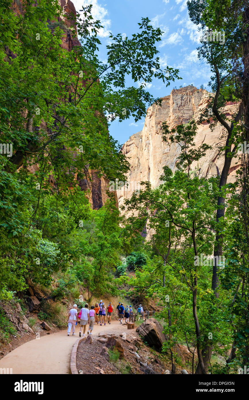 Les promeneurs sur la Promenade au Temple de Sinawava, Zion Canyon, Zion National Park, Utah, USA Banque D'Images