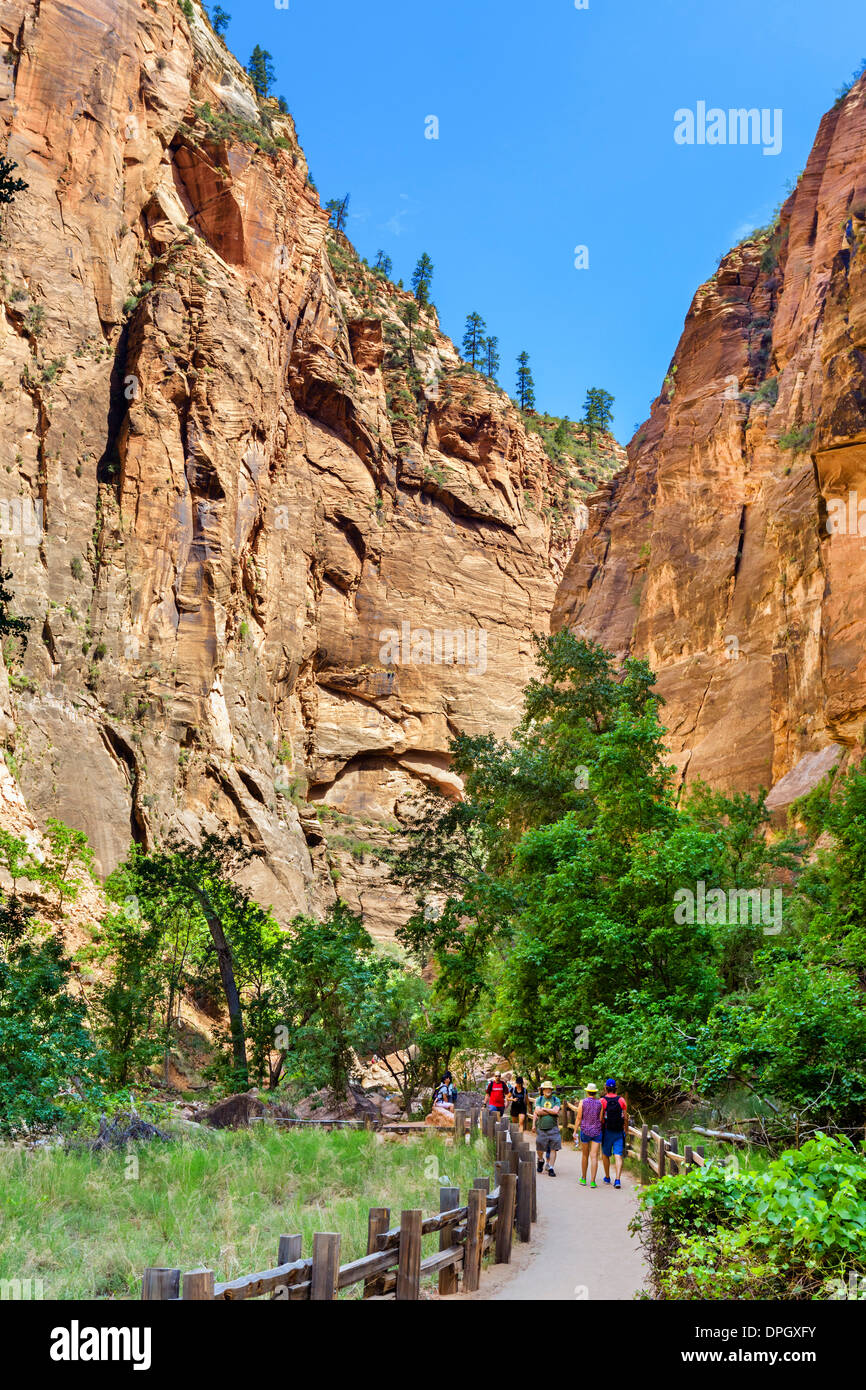 Les promeneurs sur la Promenade au Temple de Sinawava, Zion Canyon, Zion National Park, Utah, USA Banque D'Images