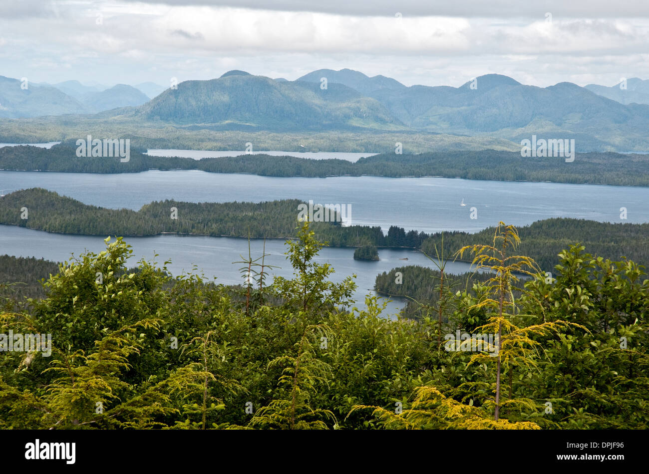 Une vue de la forêt du Grand Ours, vu depuis une montagne au-dessus de la Première Nation Heiltsuk ville de Bella Bella, en Colombie-Britannique, Canada. Banque D'Images