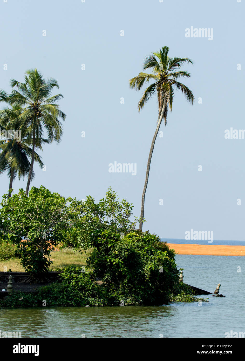 Sceinic de Veli vue lac, où l'eau du lac et l'eau de mer réunit pendant la mousson, Kerala, Inde Banque D'Images