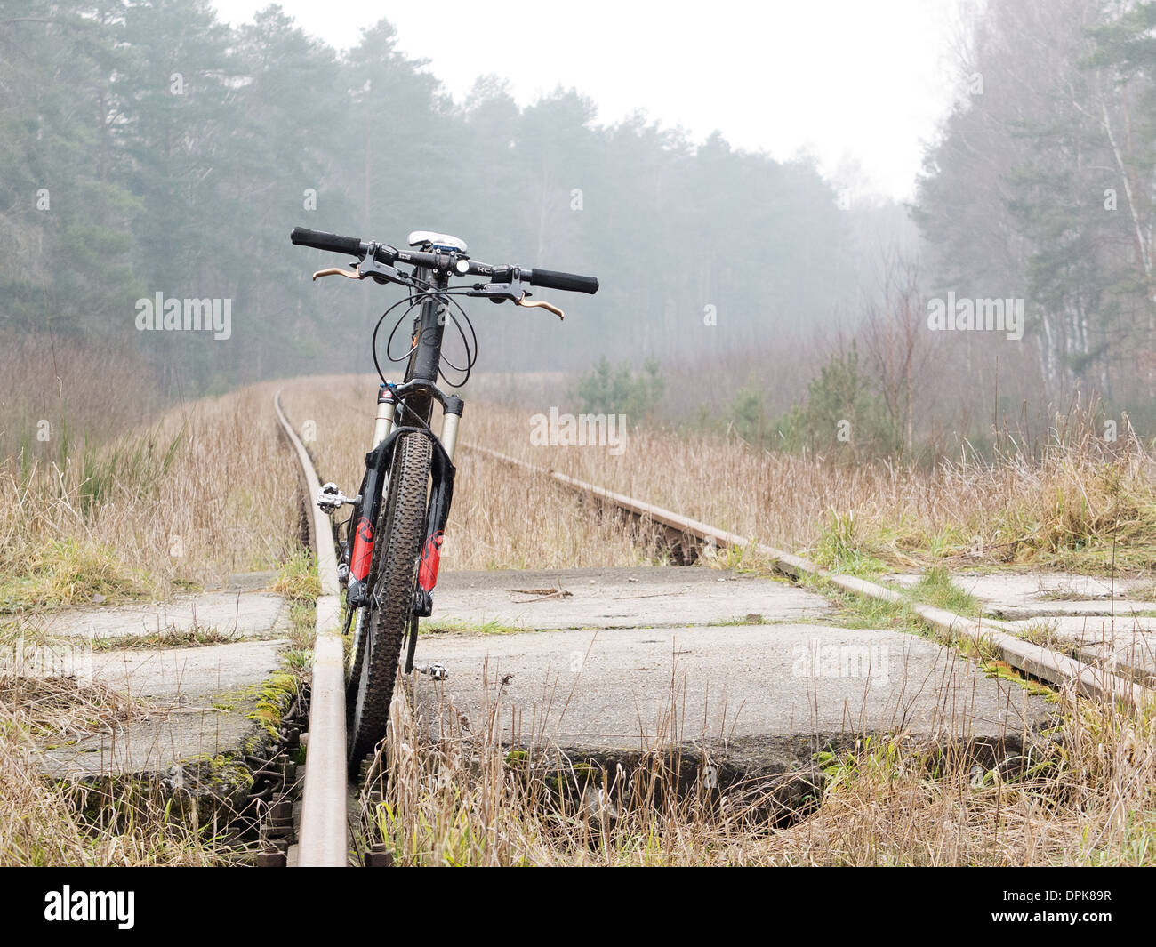 Location sport en forêt, cadre naturel dans la Mazurie, Pologne Banque D'Images