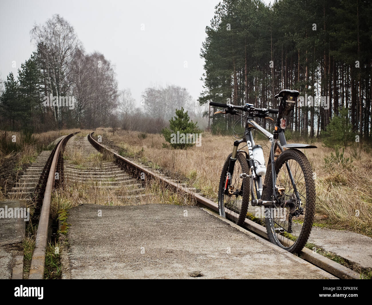 Location sport en forêt, cadre naturel dans la Mazurie, Pologne Banque D'Images