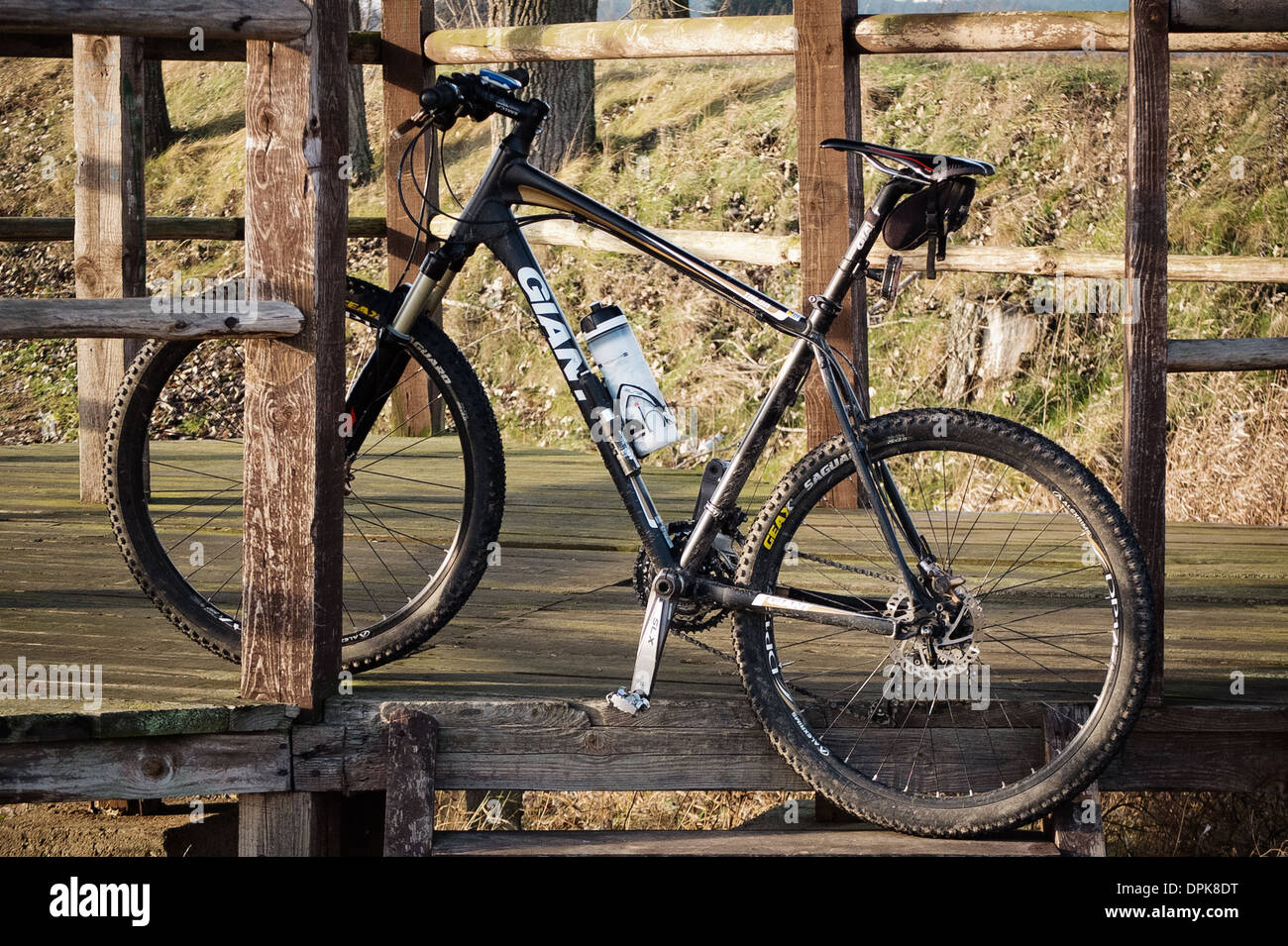 Location sport en forêt, cadre naturel dans la Mazurie, Pologne Banque D'Images