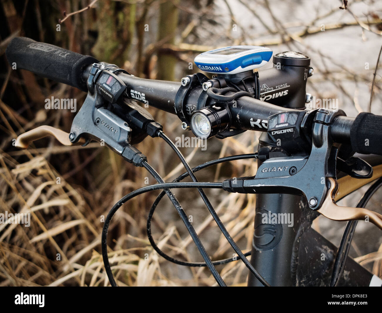 Location sport en forêt, cadre naturel dans la Mazurie, Pologne Banque D'Images
