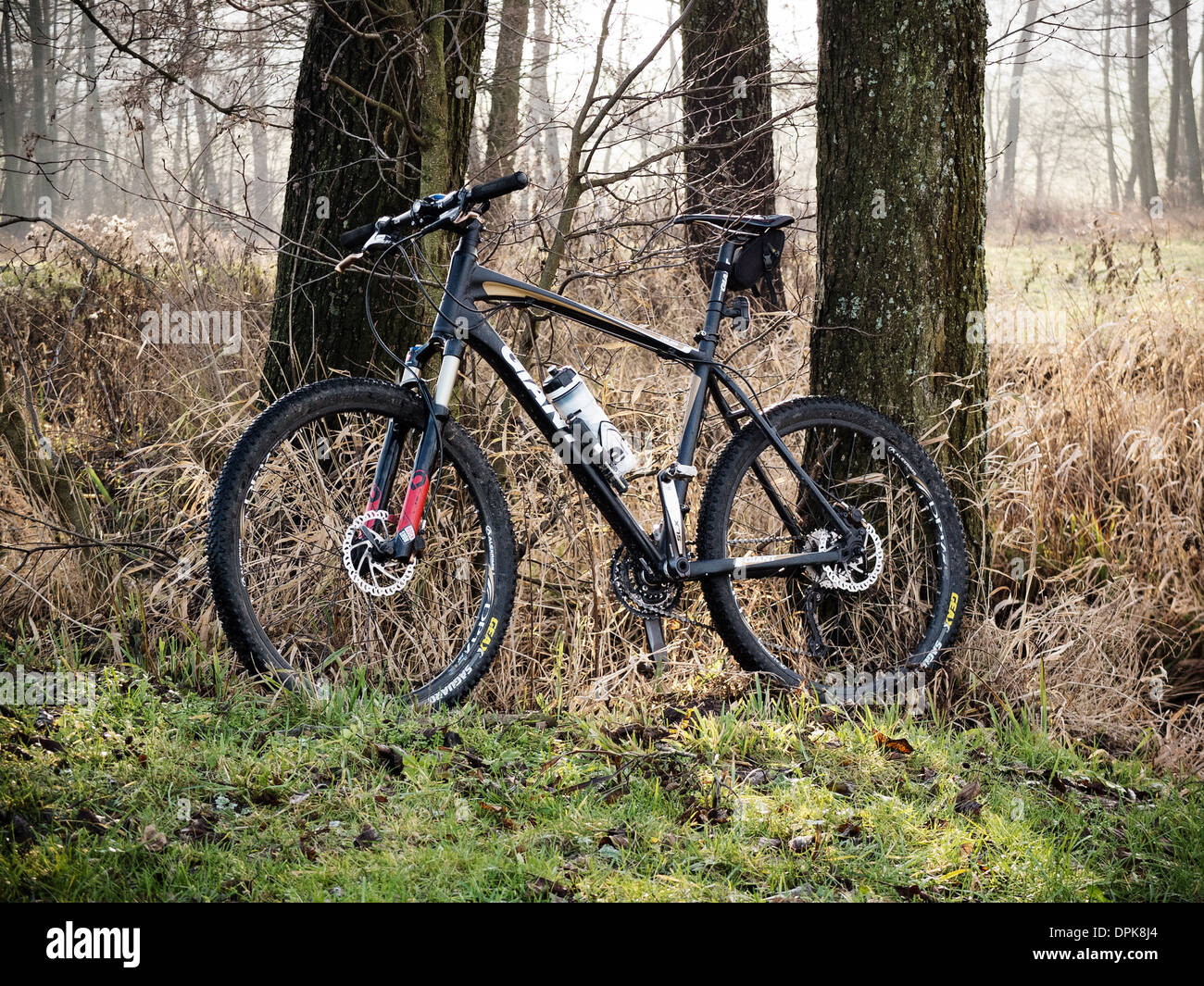 Location sport en forêt, cadre naturel dans la Mazurie, Pologne Banque D'Images