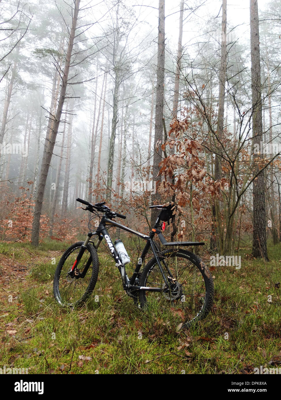 Location sport en forêt, cadre naturel dans la Mazurie, Pologne Banque D'Images