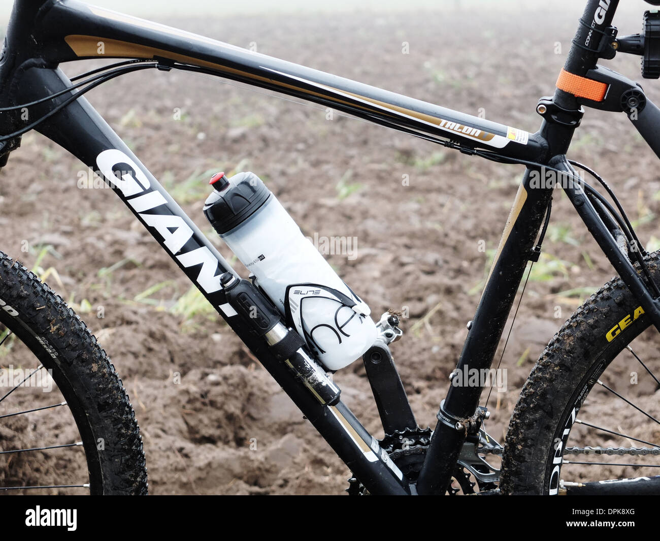 Location sport en forêt, cadre naturel dans la Mazurie, Pologne Banque D'Images