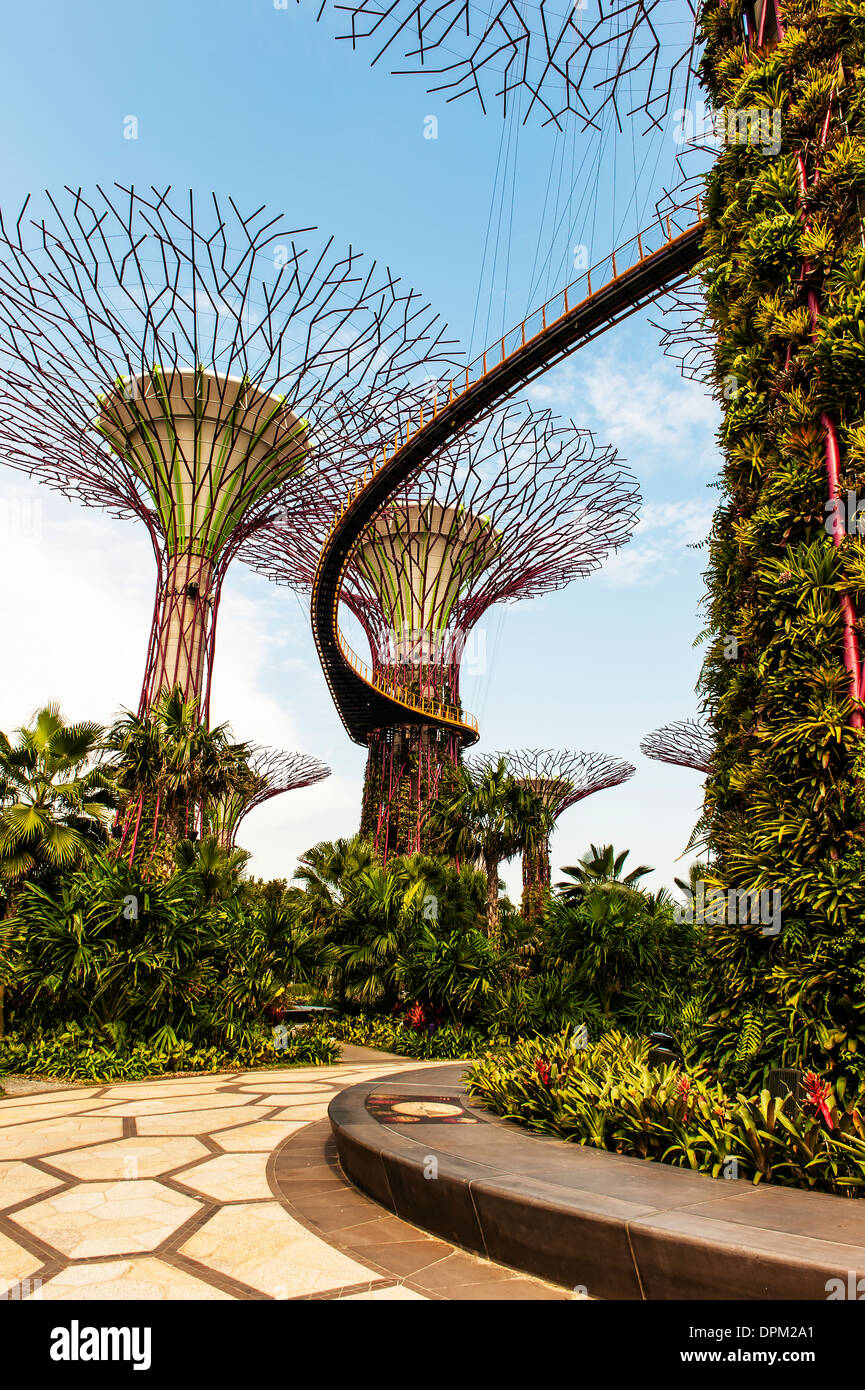 Arbres solaire dans les jardins de la baie de Singapour. Les arbres solaires dans l'supertree grove ont été ajoutés en juin 2013 Banque D'Images