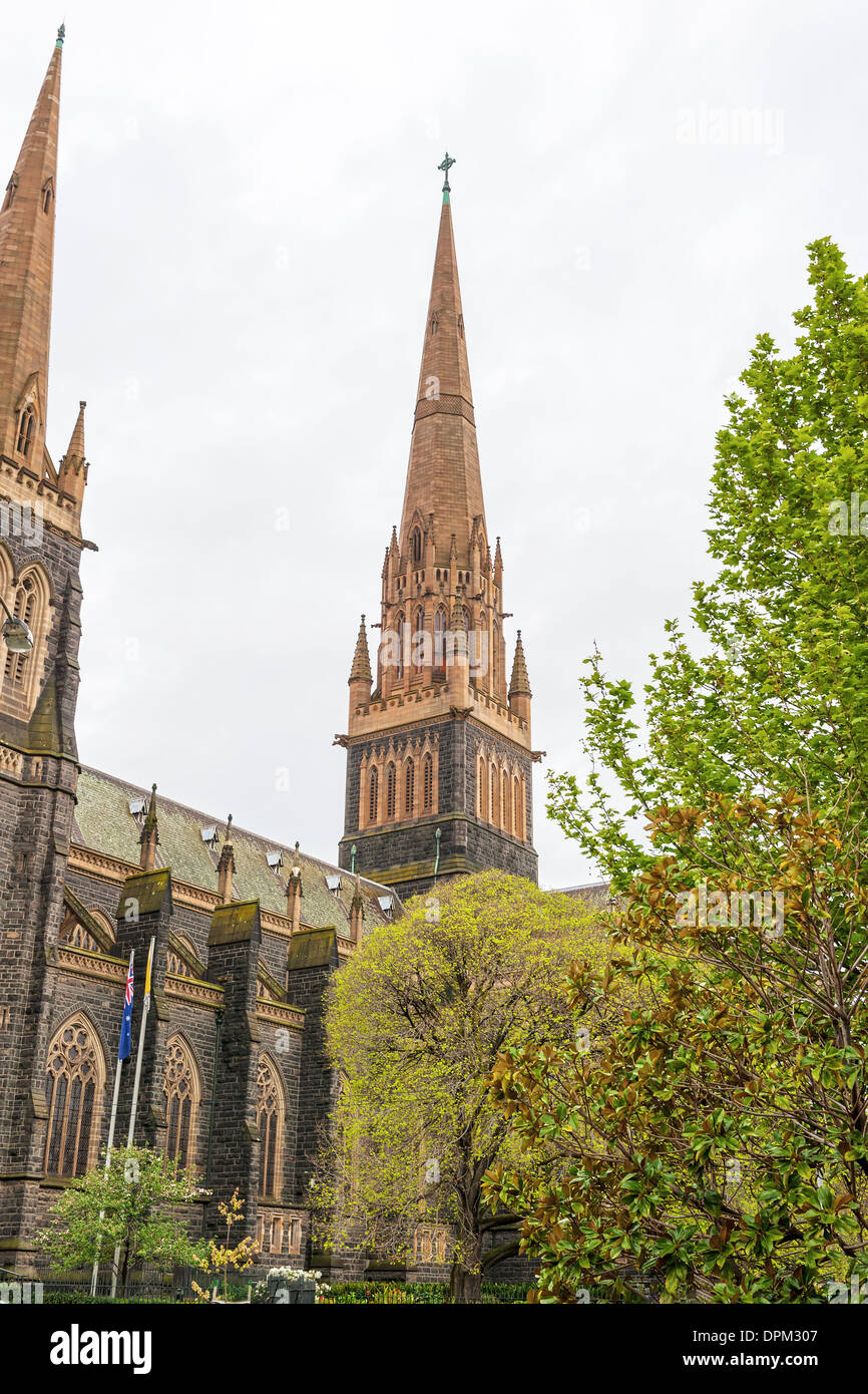 La Cathédrale St Patrick, Melbourne, Australie Banque D'Images