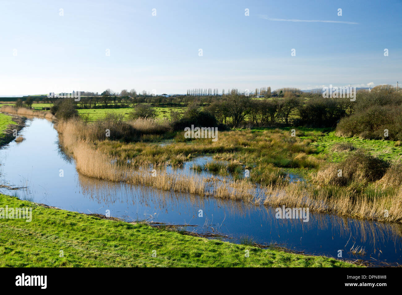 Gwent Niveaux entre Caldicot et Newport, Gwent, dans le sud du Pays de Galles, Royaume-Uni. Banque D'Images