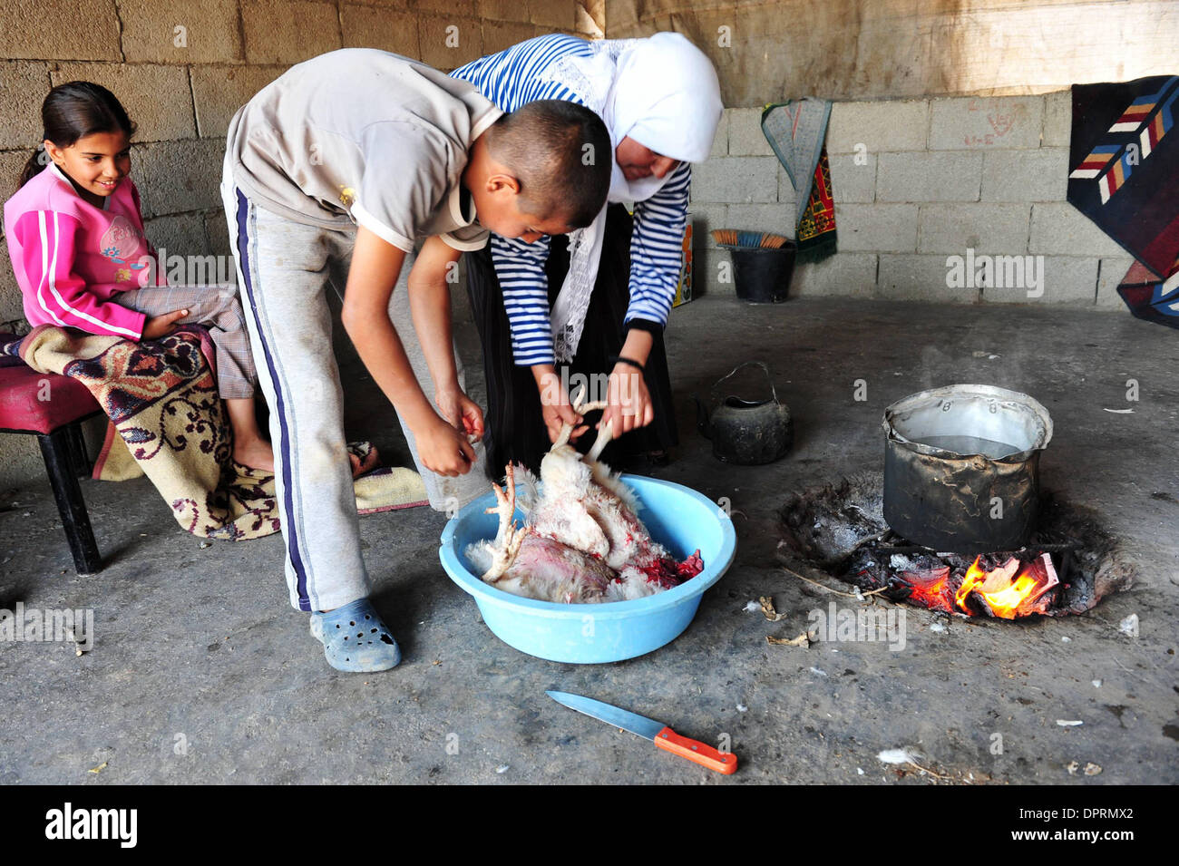 Nov 25, 2008 - Rahat, Israël - Les poulets sont pris pour le plaisir et le dîner. En Israël, des dizaines de milliers de Bédouins arabes craignent que le gouvernement israélien veut s'approprier des terres qu'ils disent leur appartient et de mettre fin à leur mode de vie nomade traditionnel. Les Bédouins arabes israéliens sont 160 000 citoyens israéliens, qui vivent dans ce qu'on appelle des "villages non reconnus" qui n'apparaissent pas sur n'importe quel Banque D'Images