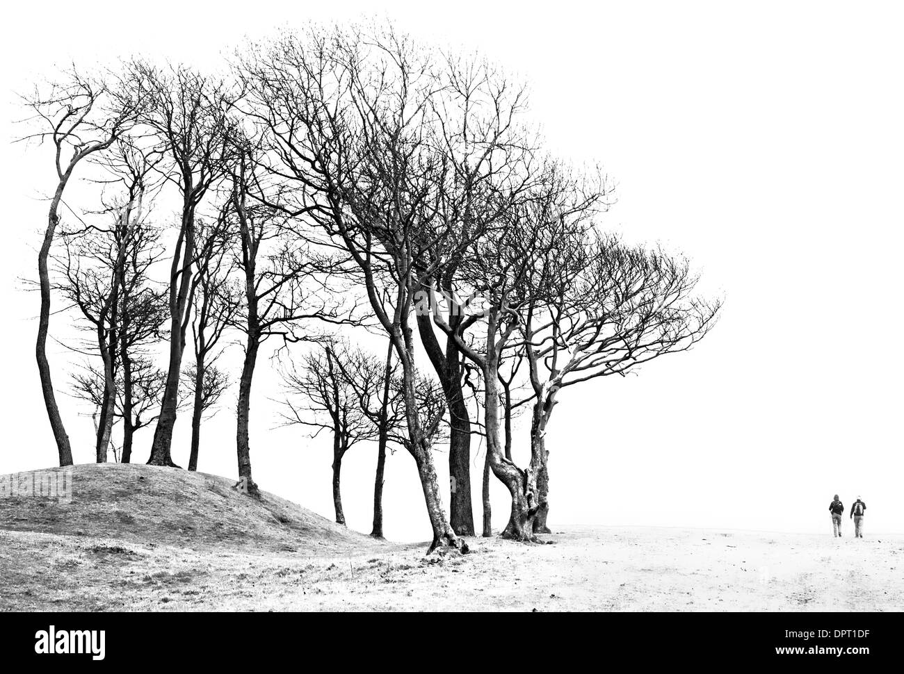 Chanctonbury Ring West Sussex touche Hi photo avec les promeneurs sur les South Downs Way Banque D'Images