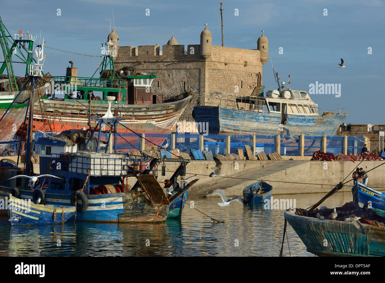 Maroc, Essaouira, le port de pêche et la fortification avec la Skala Banque D'Images