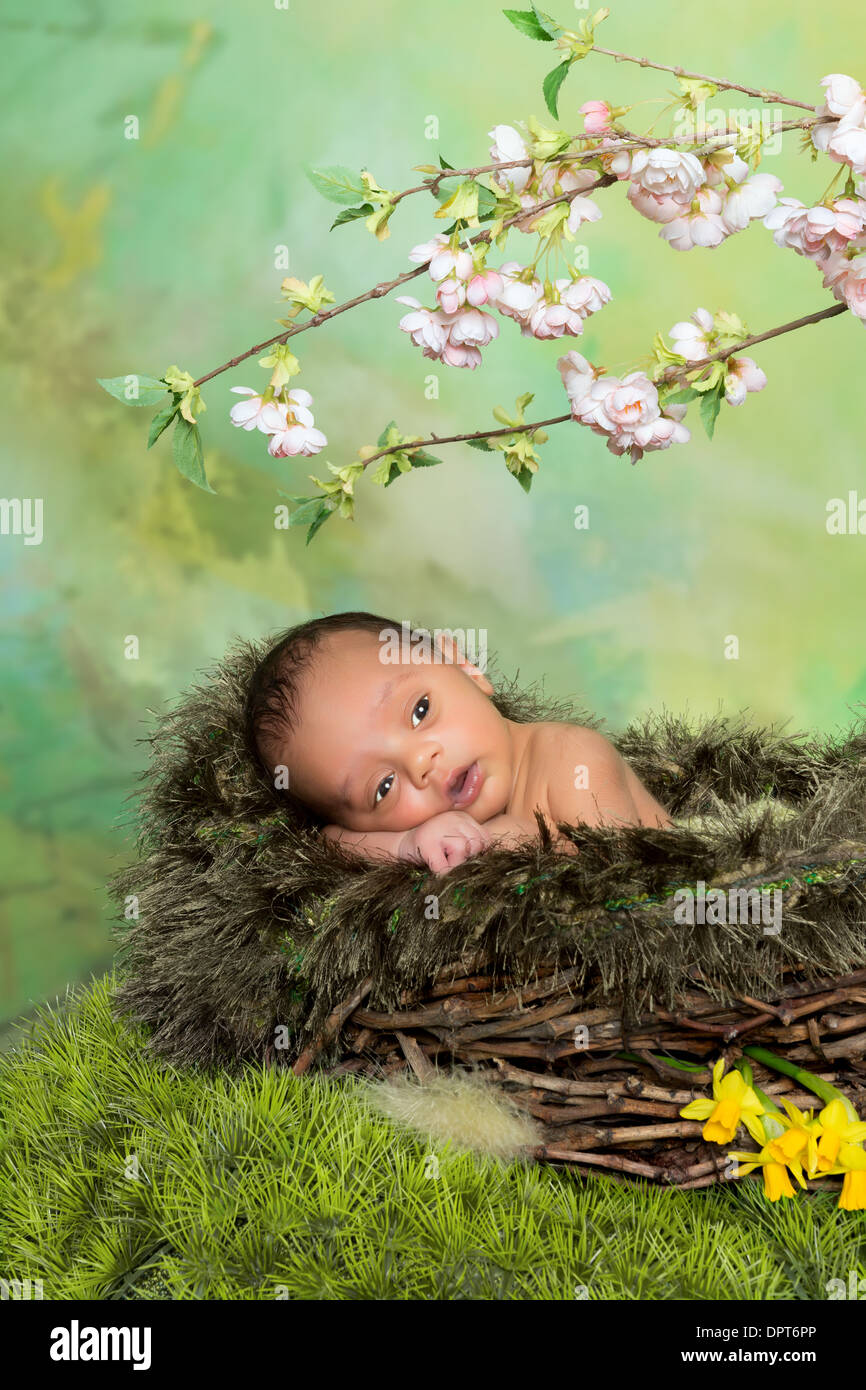 Petit Bebe Dans Un Nid De Paques Avec Des Fleurs De Printemps Photo Stock Alamy