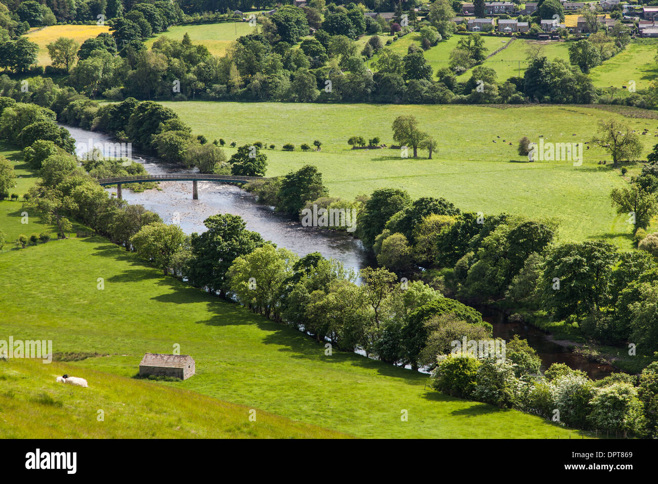 Fleuve tees et les Prairies, la région de Teesdale, Angleterre Banque D'Images