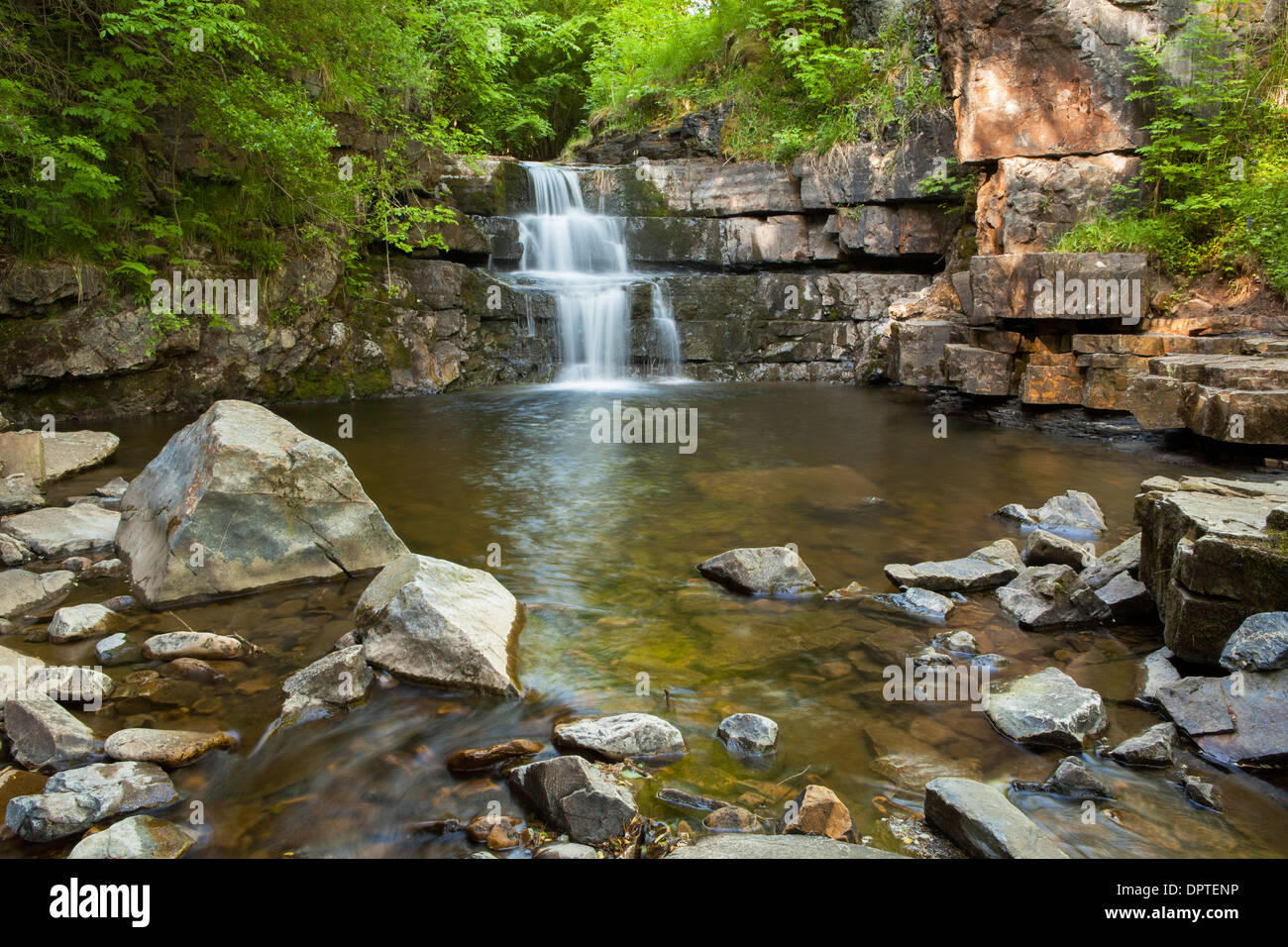 Cascade, Bowlees Bowlees, Beck, Upper Teesdale, Angleterre Banque D'Images