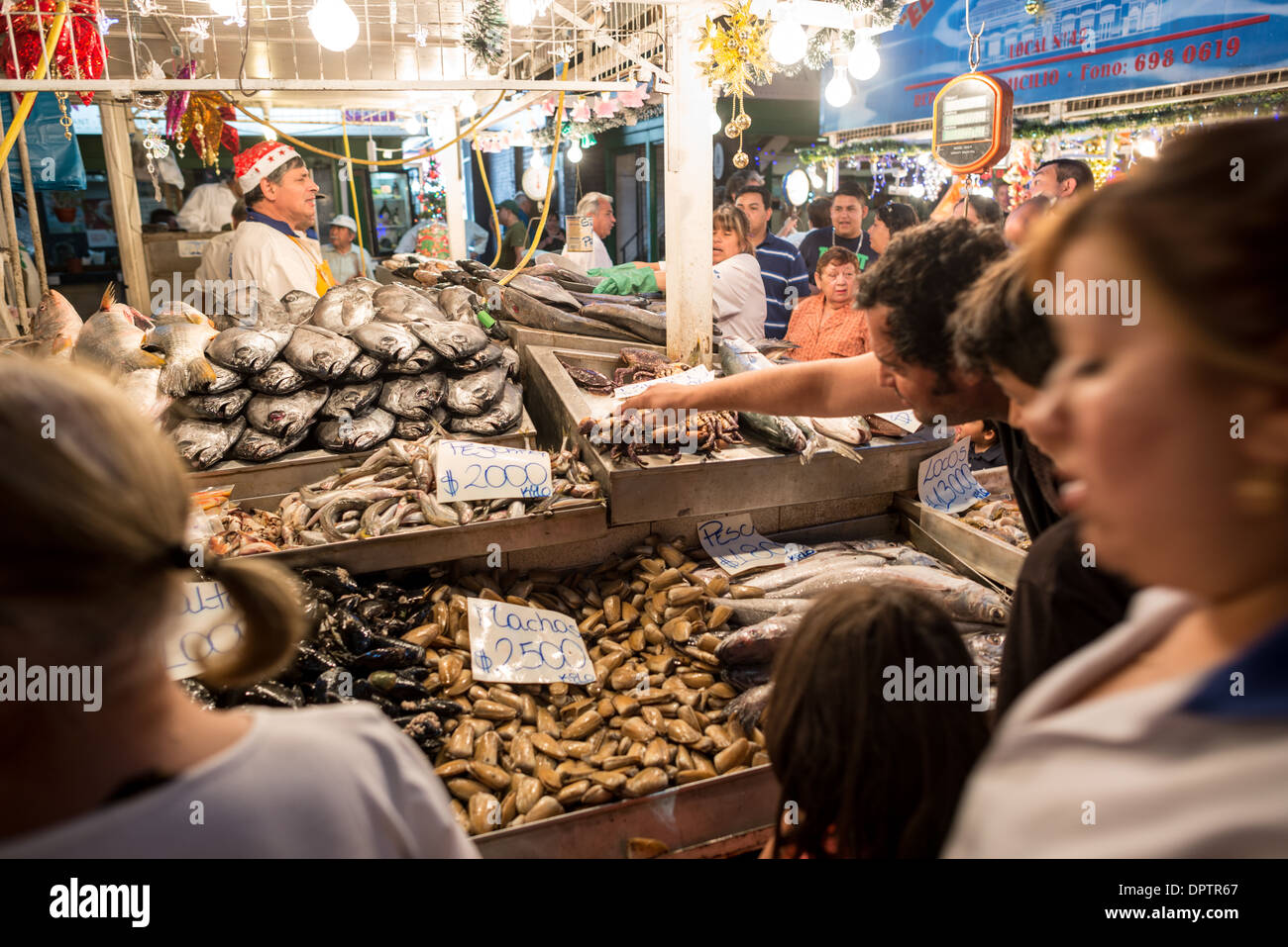 SANTIAGO, Chili — le poisson et les crustacés frais sont exposés à la vente dans les stands des vendeurs de l'historique Mercado Central. Le marché du XIXe siècle sert de plaque tournante principale pour les fruits de mer de Santiago, avec un éventail de prises de la côte Pacifique du Chili. Les méthodes traditionnelles d'affichage du marché mettent en valeur la variété des fruits de mer chiliens disponibles tous les jours. Banque D'Images