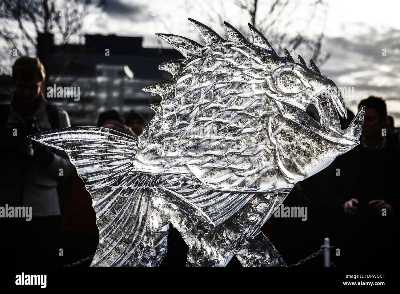 Le rétro-éclairage des sculptures en glace sculpter sculpture sculptures de glace piranha Banque D'Images