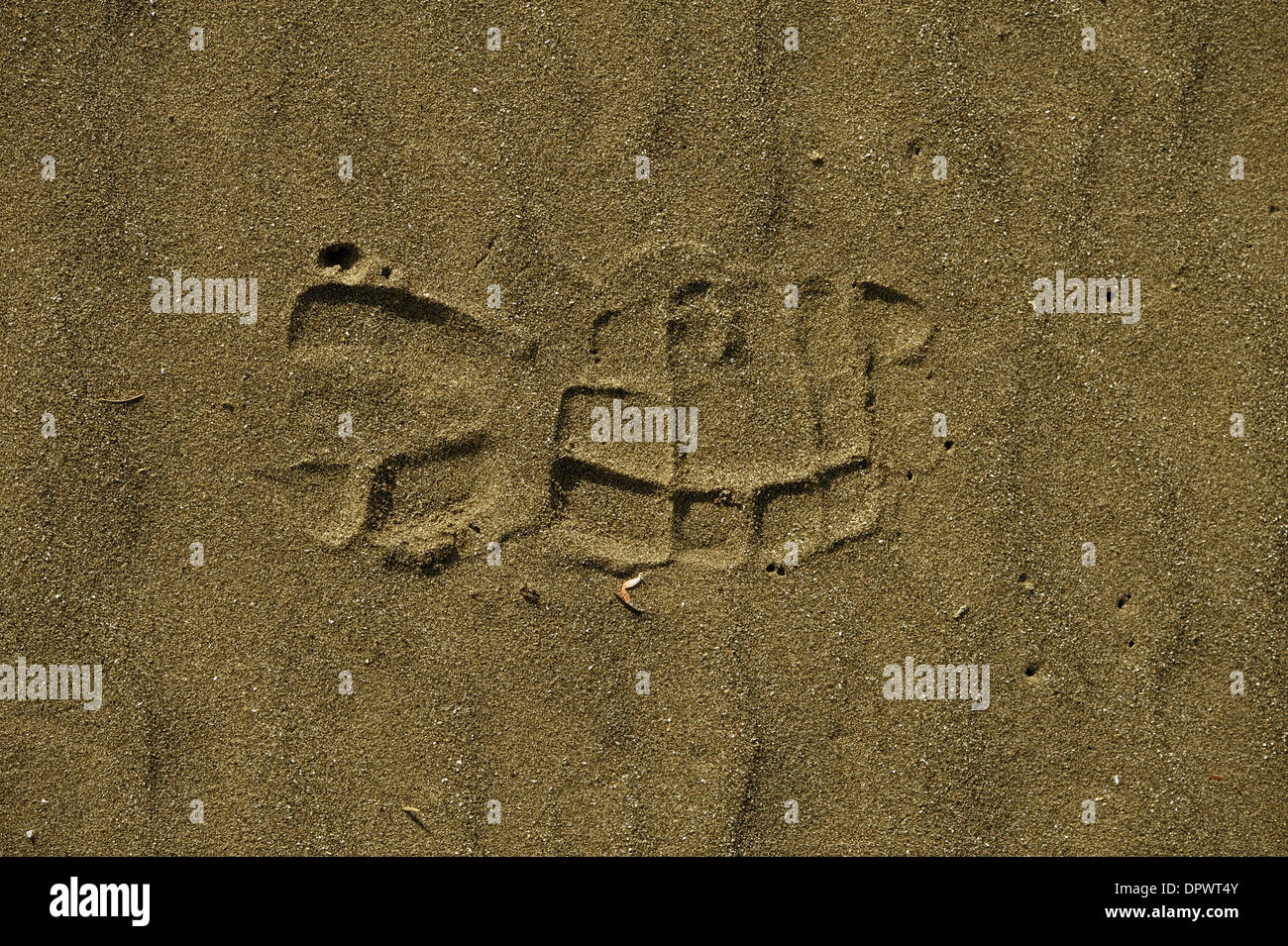 Imprimer des pieds dans le sable libre Banque D'Images