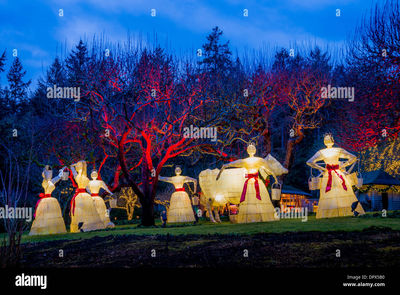 12 jours de Noël, les Jardins Butchart, Brentwood Bay, île de Vancouver, Colombie-Britannique, Canada Banque D'Images