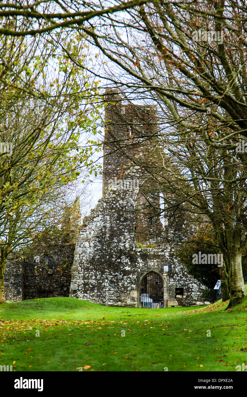 Kilcrea, Irlande - 28 novembre 2012 : cité médiévale Kilcrea Kilcrea Friary (Abbaye) situé près d'un four Banque D'Images