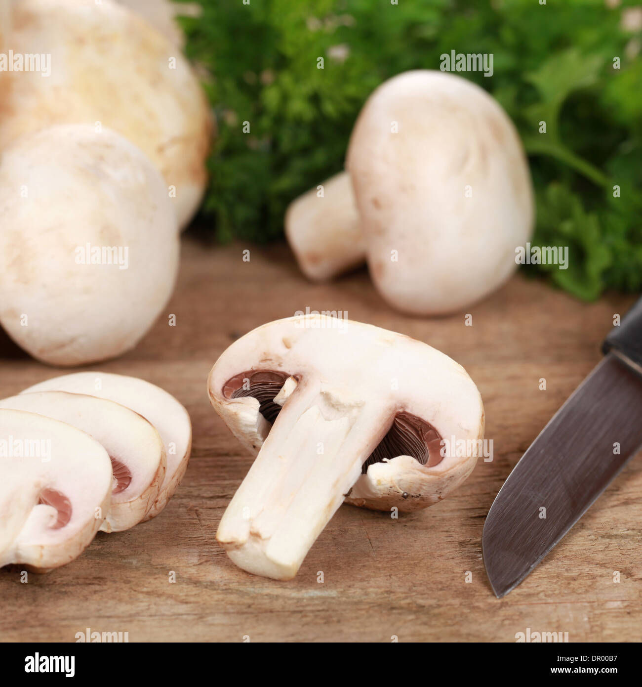 La préparation des aliments : les champignons tranchés avec un couteau sur une planche à découper Banque D'Images