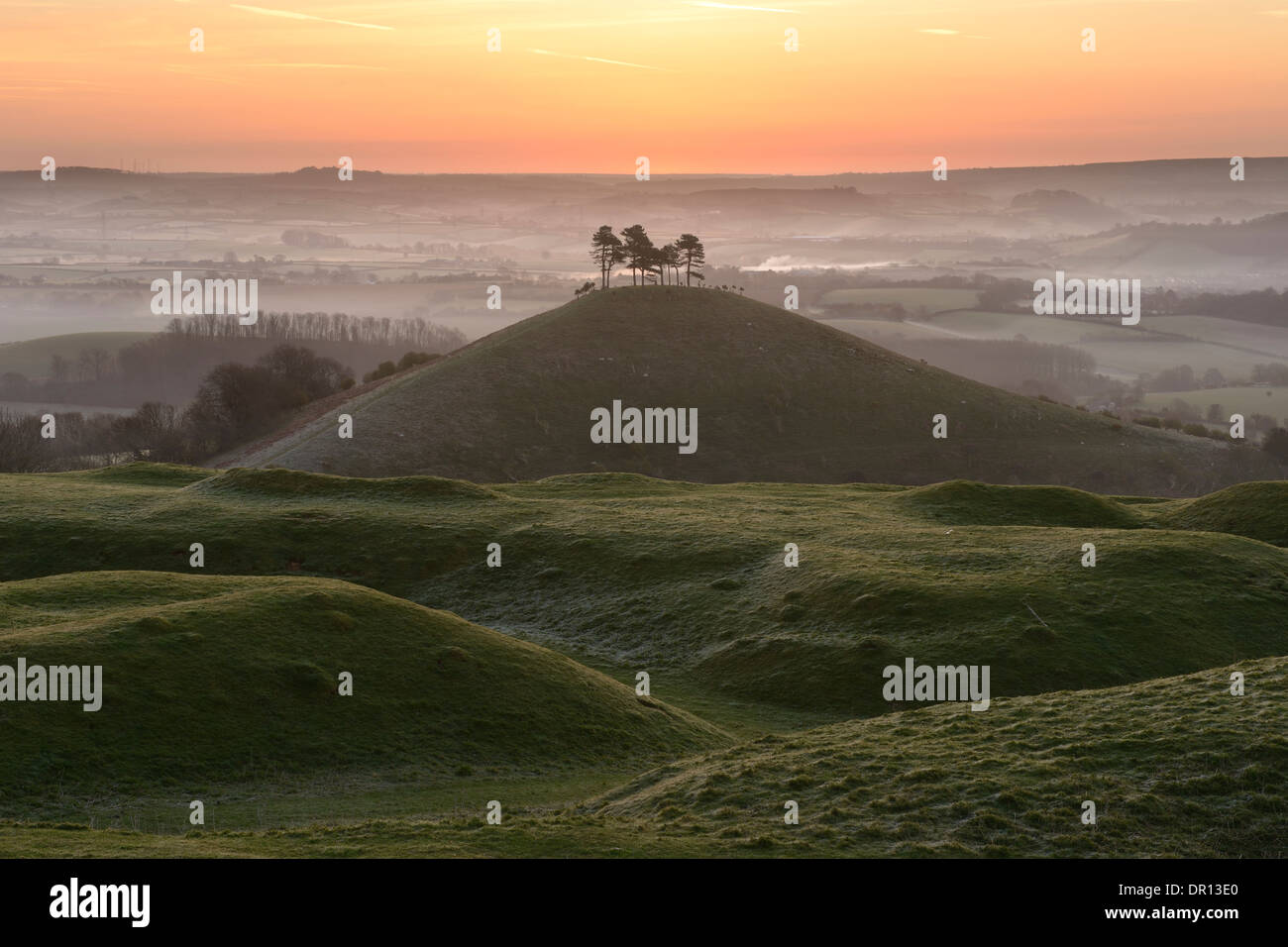 Colmer's Hill, dans le Dorset, au lever du soleil sur un misty tôt le matin au début du printemps. Banque D'Images