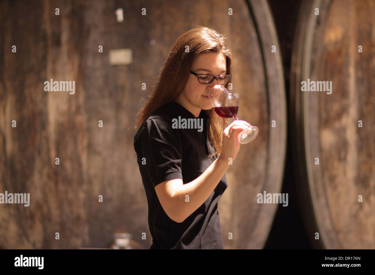 Dans un vin contrôle cellérier cave à vin Banque D'Images
