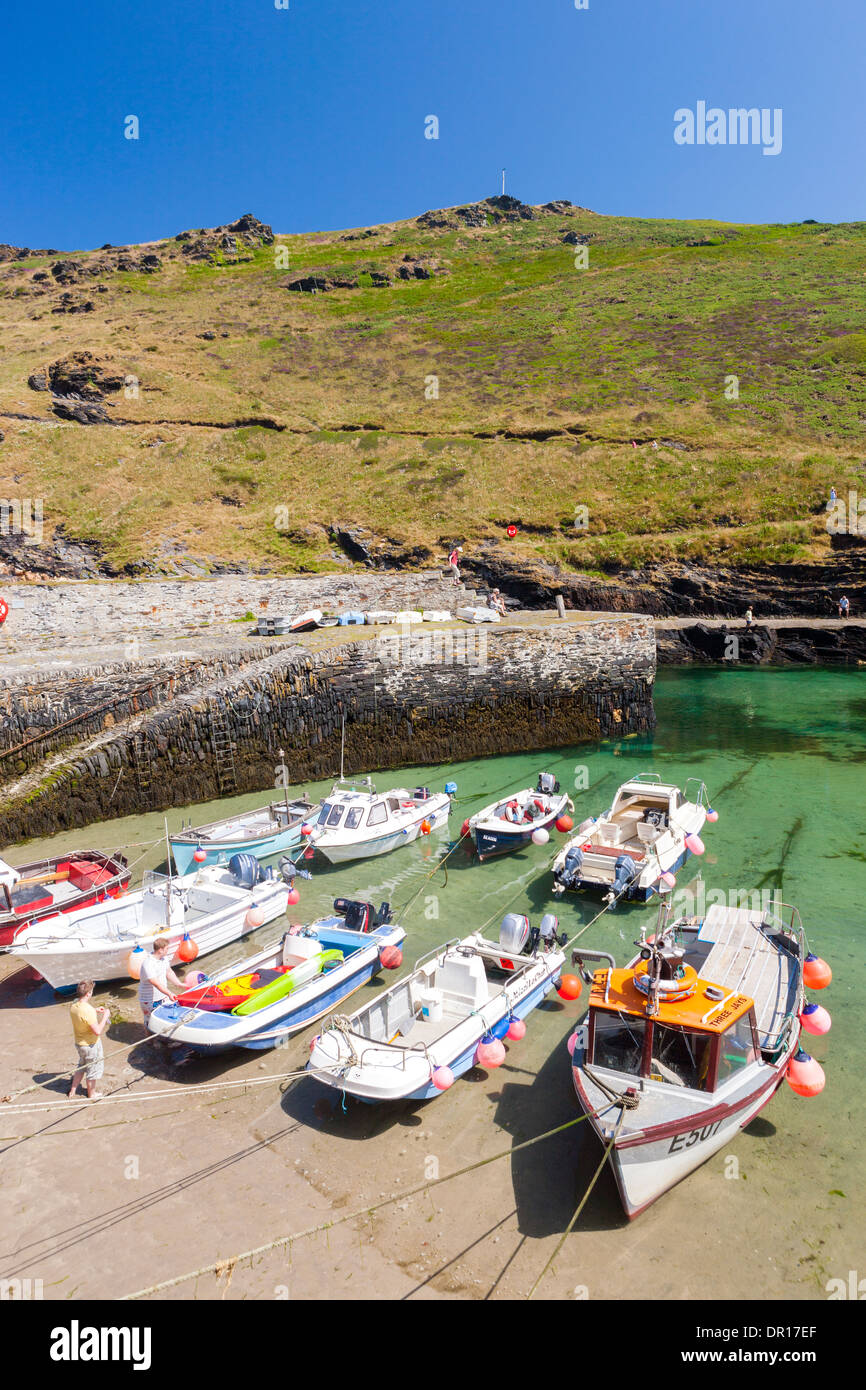 Boscastle Harbour, sur la côte nord des Cornouailles, Angleterre, Royaume-Uni, Europe. Banque D'Images