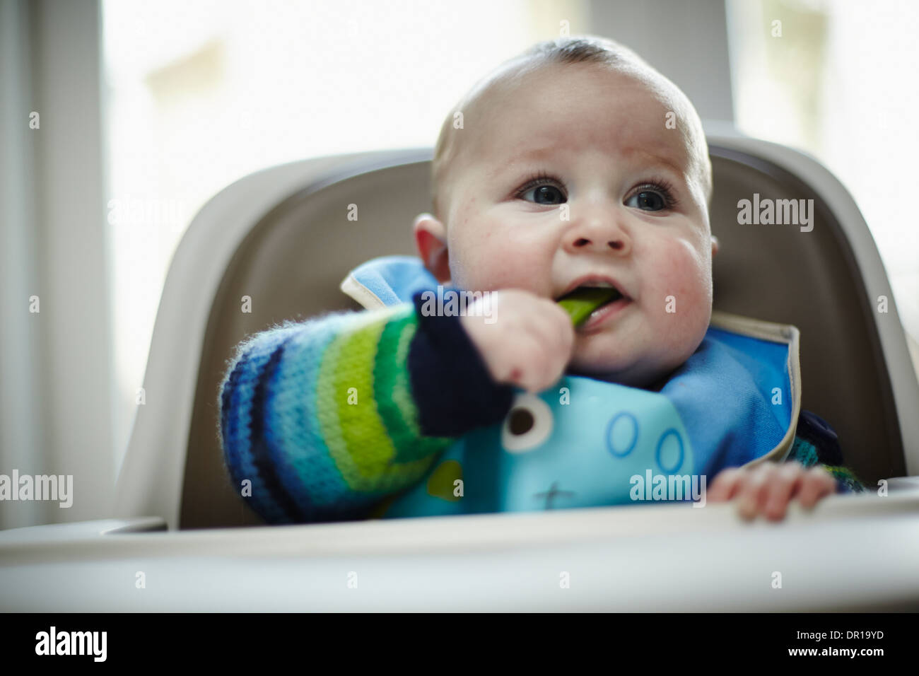 Un Bebe De 5 Mois Et Demi Mange Un Legume Vert Dans Le Cadre Du Sevrage Led Bebe Photo Stock Alamy