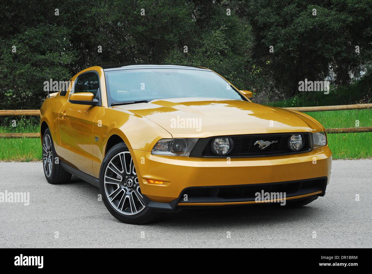 Mar 19, 2009 - Los Angeles, Californie, USA - Le tout nouveau 2010 Mustang GT est plus de style contemporain, plus puissant, avec une meilleure maniabilité, et une conception entièrement nouvelle de l'intérieur de haute qualité qui peuvent s'opposer à tout coupé sportif sur le marché pour un prix de base de seulement 27 995,00. Cette nouvelle Mustang est le premier coupé sportif d'avoir un toit en verre "disponibles" que ru Banque D'Images