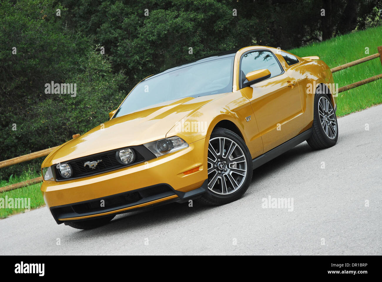Mar 19, 2009 - Los Angeles, Californie, USA - Le tout nouveau 2010 Mustang GT est plus de style contemporain, plus puissant, avec une meilleure maniabilité, et une conception entièrement nouvelle de l'intérieur de haute qualité qui peuvent s'opposer à tout coupé sportif sur le marché pour un prix de base de seulement 27 995,00. Cette nouvelle Mustang est le premier coupé sportif d'avoir un toit en verre "disponibles" que ru Banque D'Images