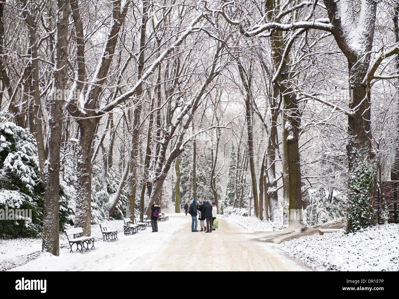 Les touristes dans des bains de neige Parc Royal de Varsovie Banque D'Images