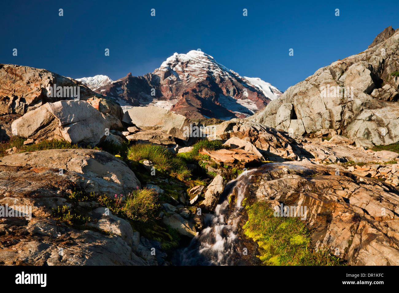 WASHINGTON - petite cascade dans la zone de cross-country Pyramid Peak dans le Parc National de Mount Rainier. Banque D'Images