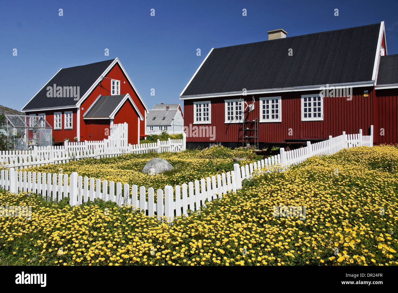 Maisons colorées à Nuuk (Godthab), Groenland Banque D'Images