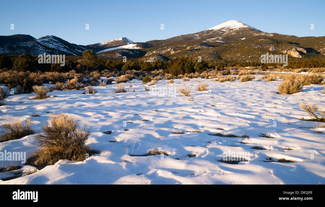 Paysage d'hiver dans le Parc National du Grand Bassin Banque D'Images