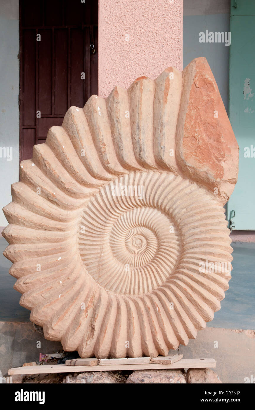 sculpture-ammonite-banque-de-photographies-et-d-images-haute