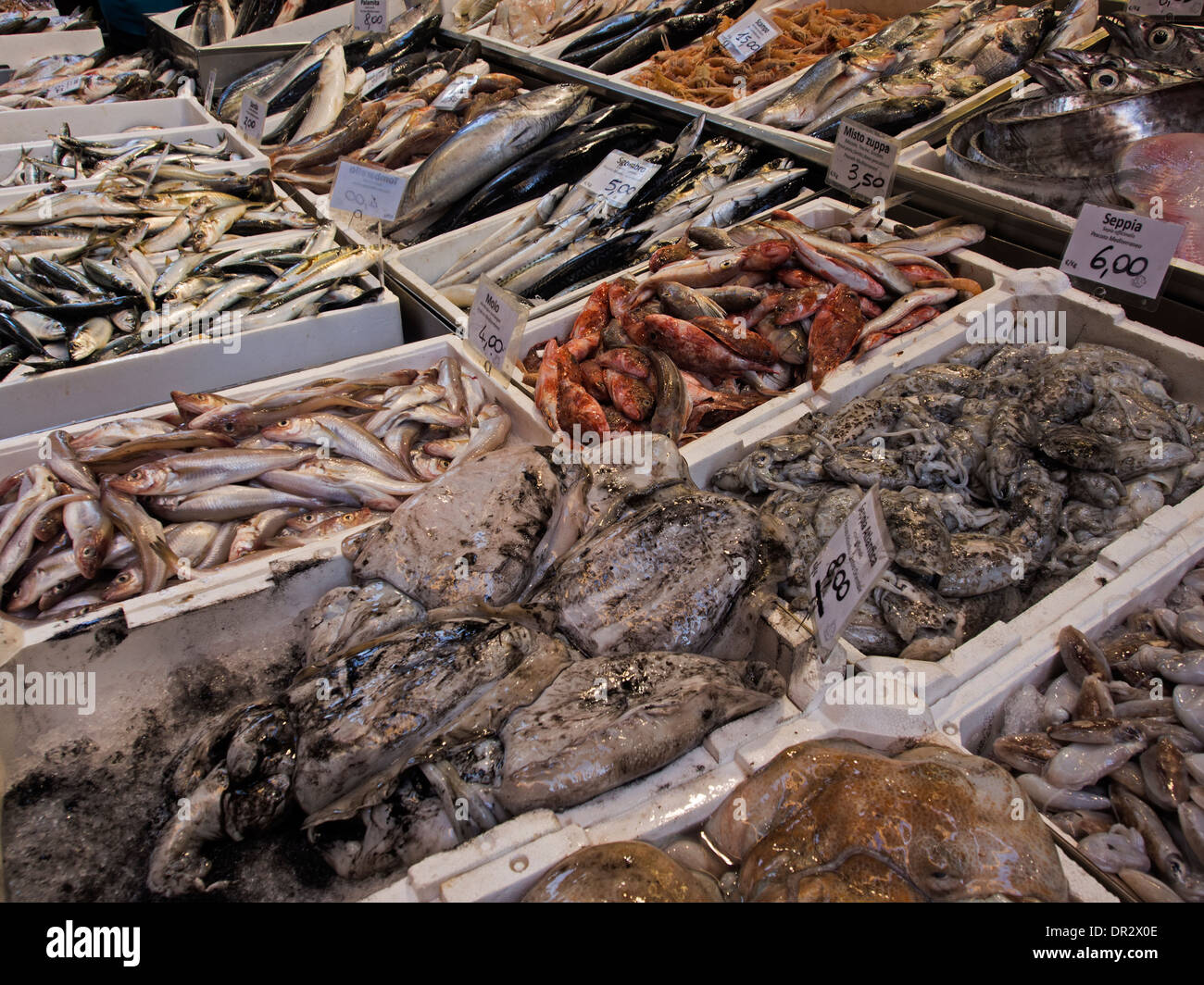 Une variété de poissons et autres fruits de mer sur un étal poissonnerie Banque D'Images