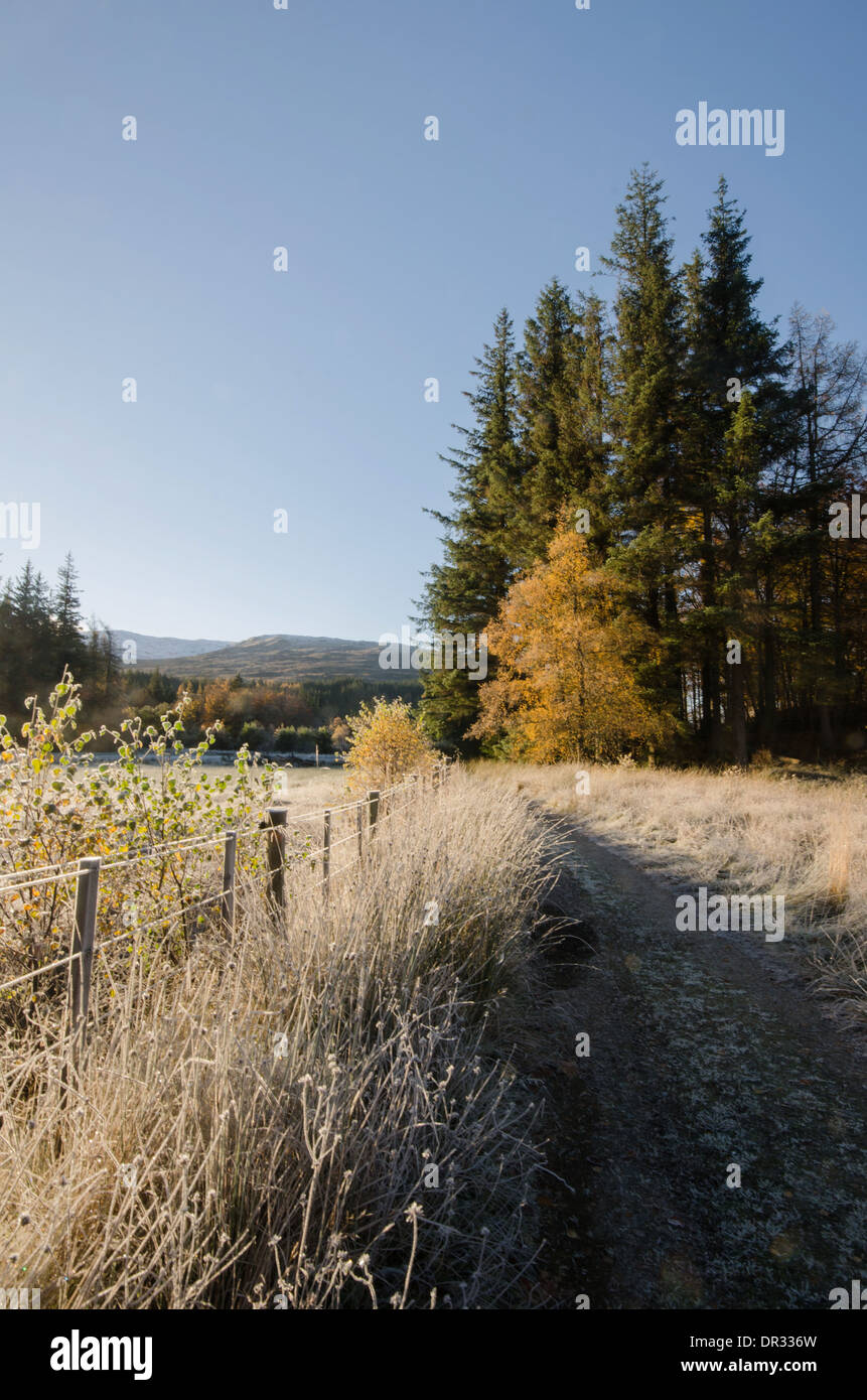Loch Ossian est situé sur la Corrour Estate en Écosse et offre une panoplie de paysages. Banque D'Images