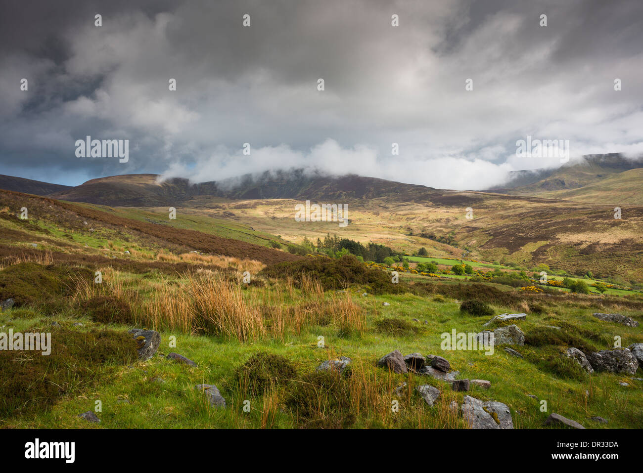 Brume sur les sommets des montagnes Comeragh dans la Nièvre Valley, comté de Waterford, Irlande Banque D'Images